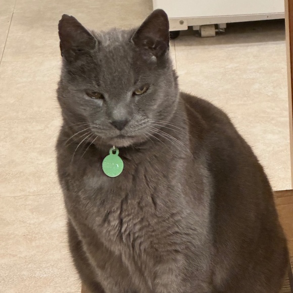 Meet your Posher, Deb - Picture 1 of 1